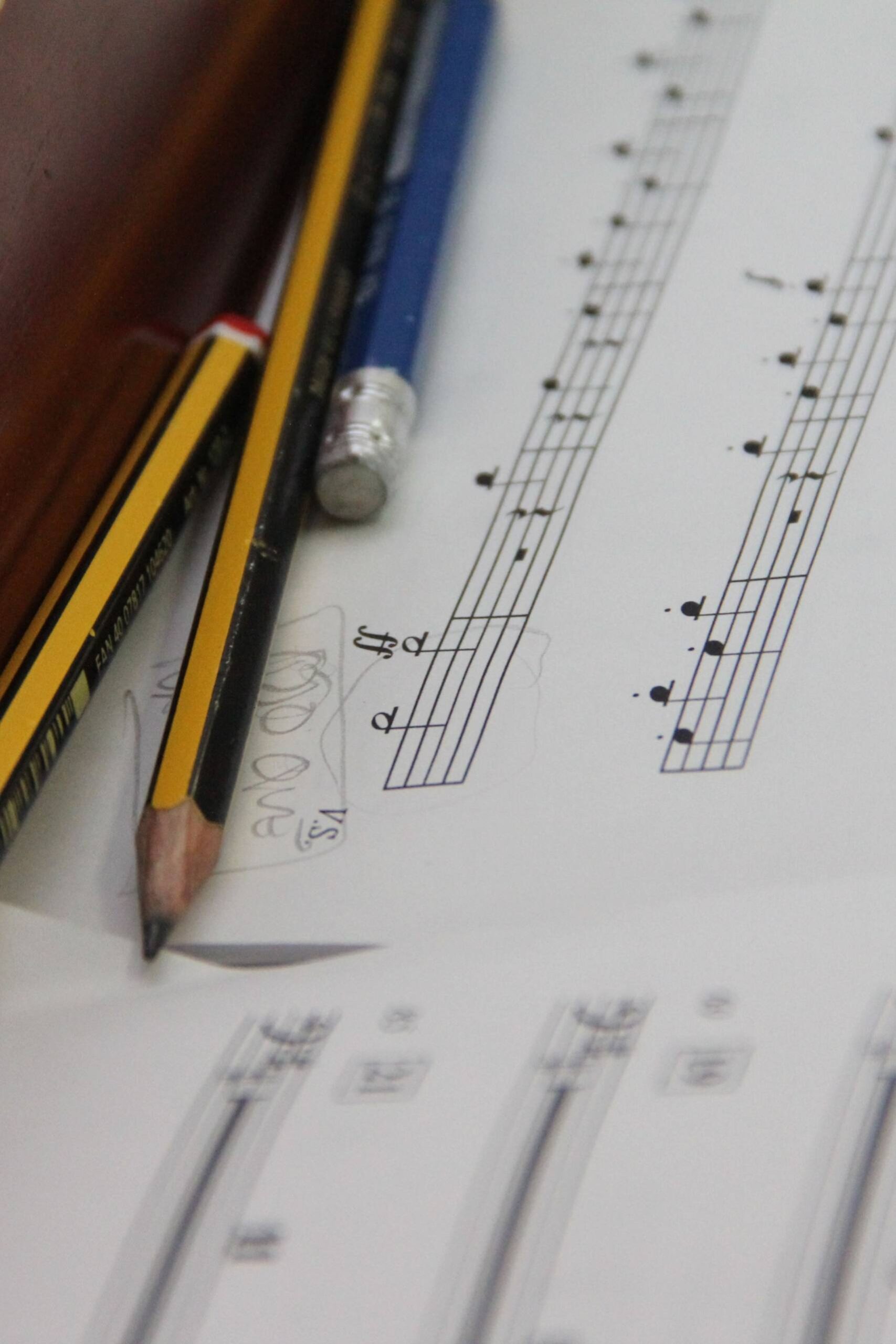 Edición y Arreglos Musicales
